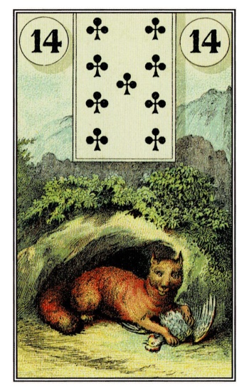 Le Renard