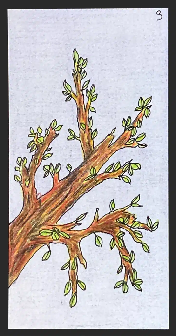 Le Printemps