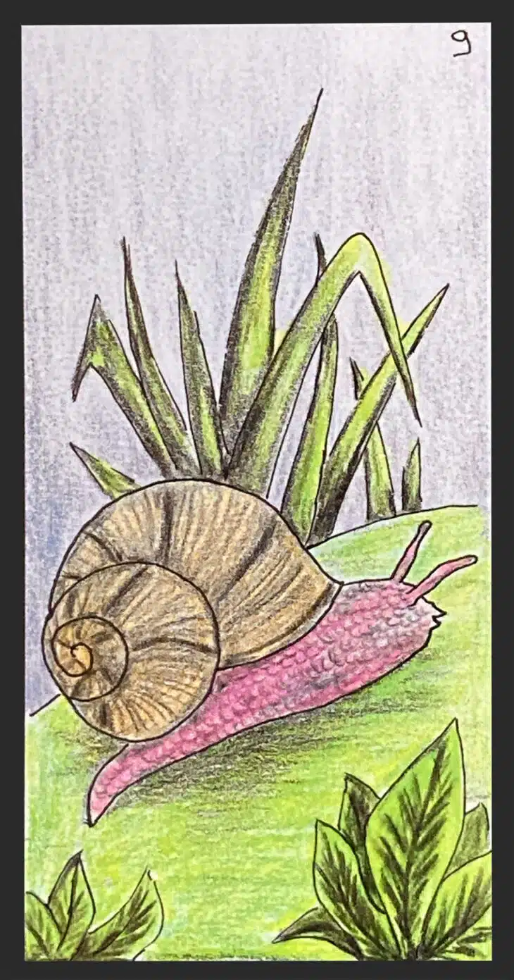L'Escargot