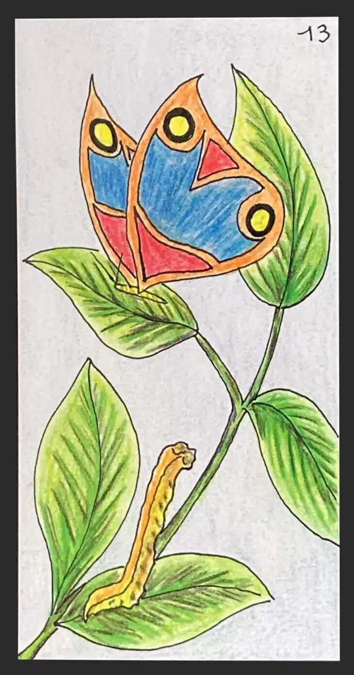 Le Papillon