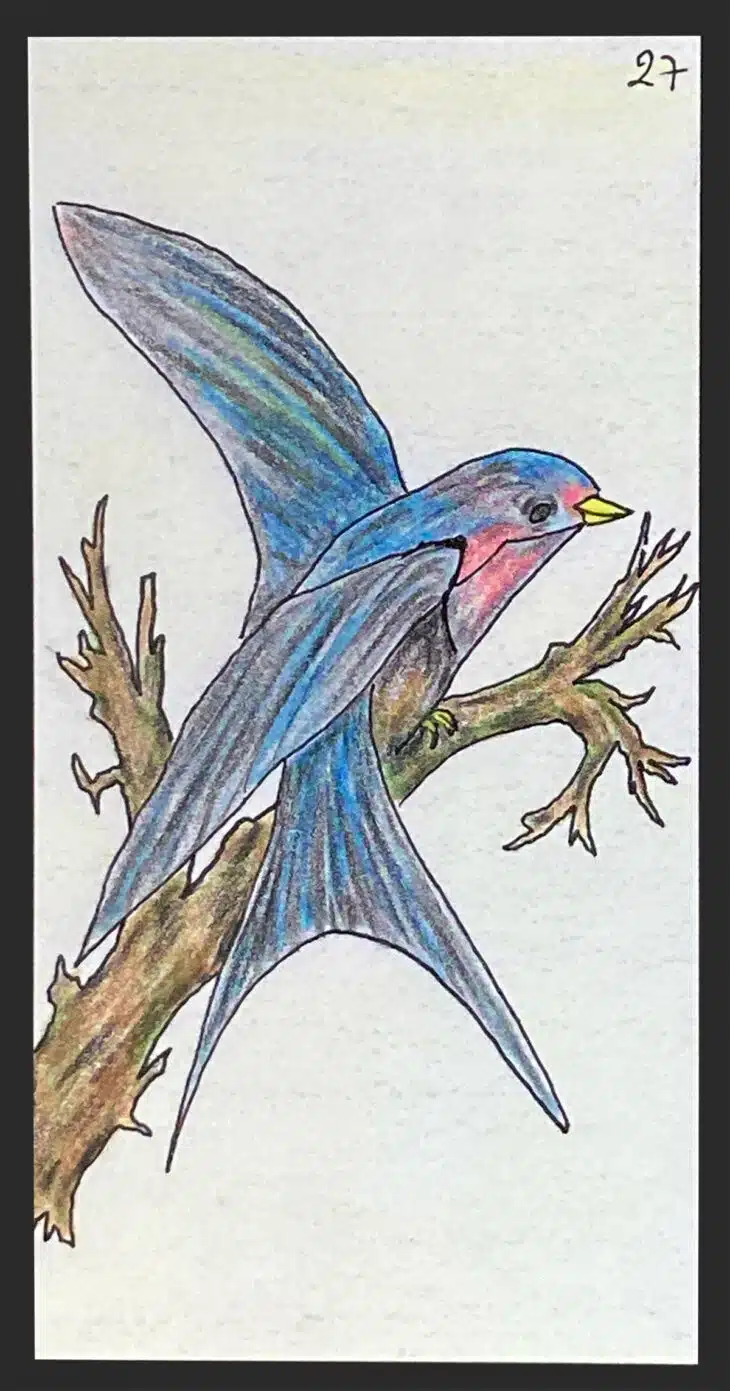 L'Oiseau