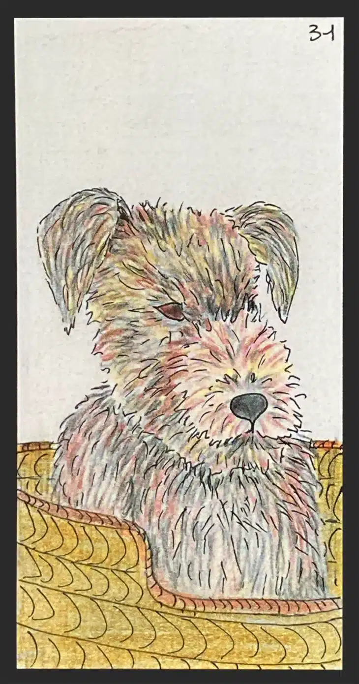 Le Chien