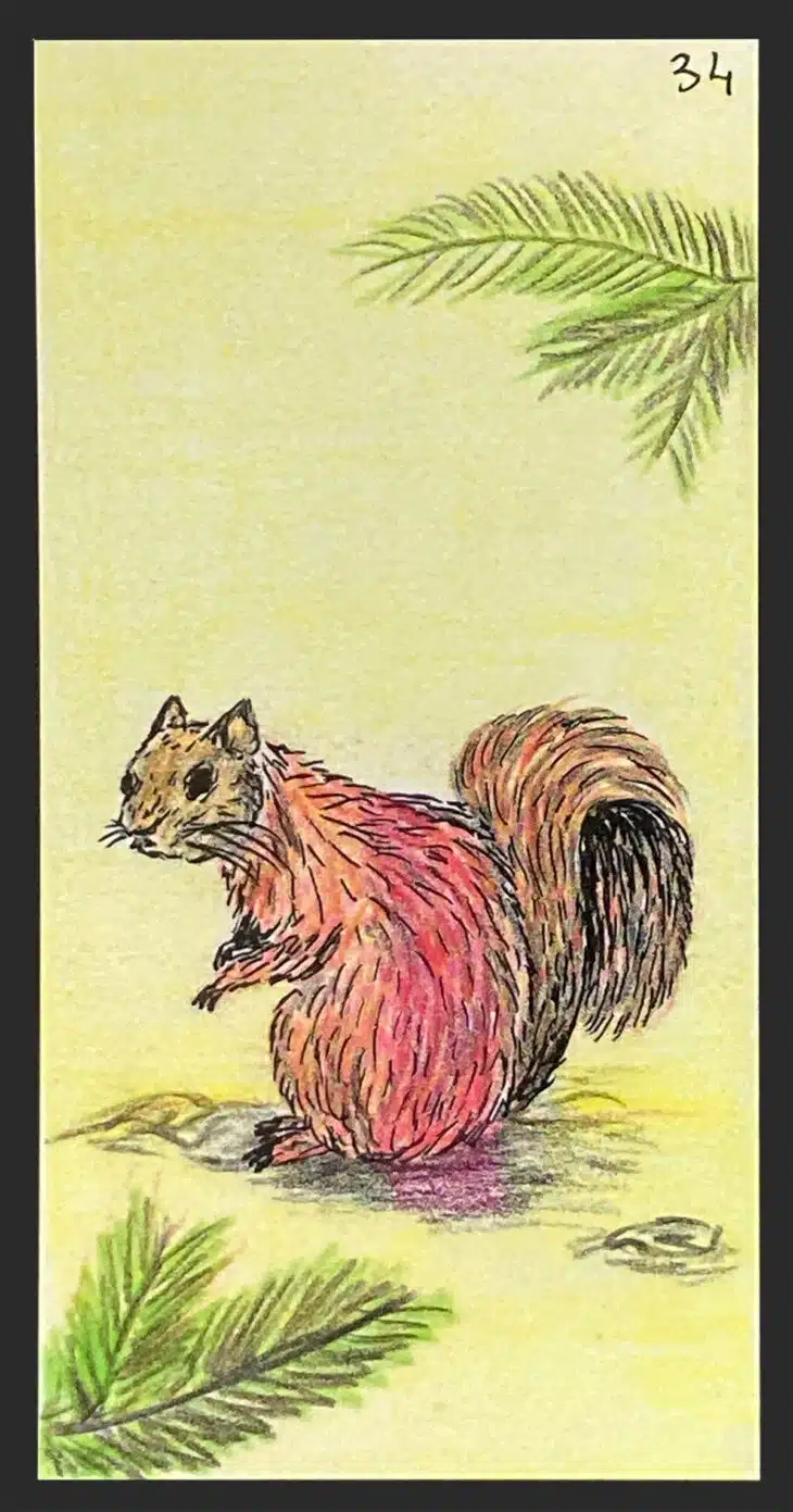 L'Écureuil