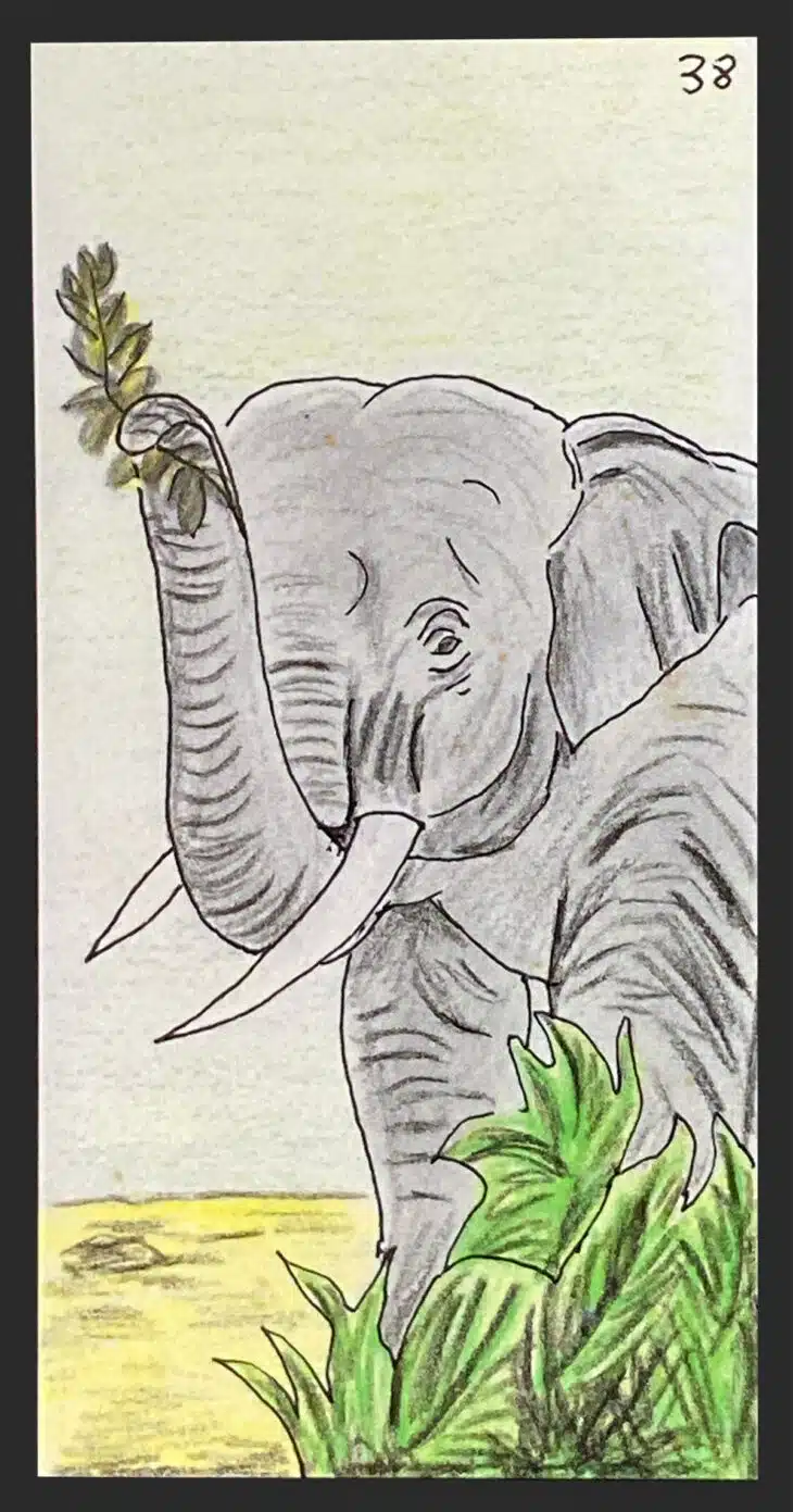 L'Éléphant