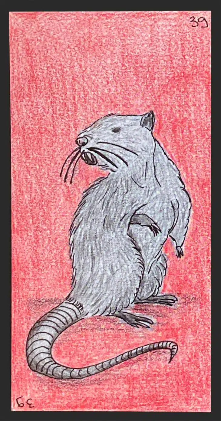 Le Rat