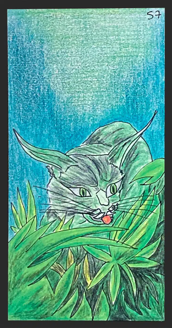Le Lynx